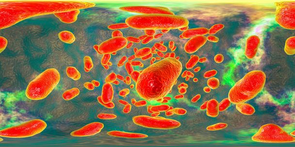 360 stopni widok panoramy bakterii Porphyromonas gingivalis, ilustracja 3D. Bakterie powodujące choroby przyzębia, bakteryjną waginozę - Zdjęcie, obraz