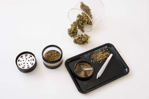 The pot leaves on buds CBD. Sativa Indica medical health. Marijuana nature bud close up. Grinder and cannabis weed bud. White background. THC Kief in grinder. - 写真・画像