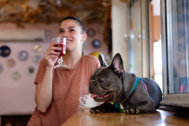 Hermosa chica disfrutando de su tiempo libre, mientras bebe café con su Bulldog Azul Francés en un acogedor café para mascotas
 - Foto, Imagen