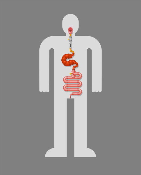 Metallo allo stomaco e intestino. Organo interno robotico. Ferro tratto digestivo. Organi cyborg. Robot gu - Vettoriali, immagini
