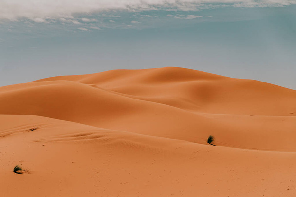 Maroko - 28 września 2019: Piękne pustynne krajobrazy w Merzouga, Maroko - Zdjęcie, obraz