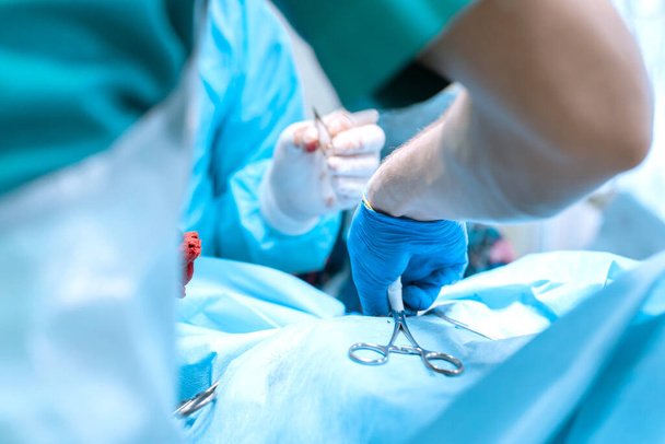 Closeup surgeon hand in glove apply clamp. Group of surgeons in operating room with surgery equipment. Medical background. - Φωτογραφία, εικόνα
