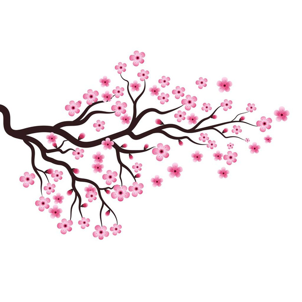 Sakura Beauty flower Vector icon illustration design - Vector, Imagen