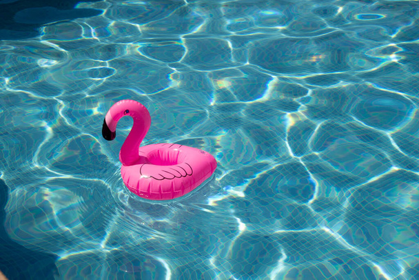 PINK FLAMINGO IN A SWIMMING POOL - Photo, Image