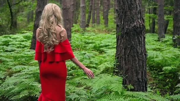 Achteraanzicht van een mooi blond meisje in een chique rode jurk die een varen in het sprookjesbos aanraakt. Fantastische atmosferische beelden. - Video