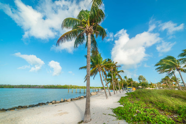 Praia tropical em Florida Keys, EUA
 - Foto, Imagem