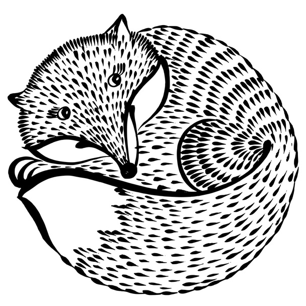 decorative silhouette of a fox - Vector, Image