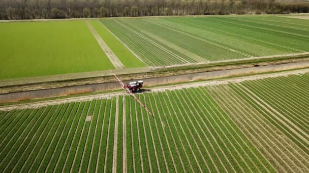Luftaufnahmen von Landwirtschaftsmaschinen, die Pestizide über Agrar-Felder sprühen - Filmmaterial, Video