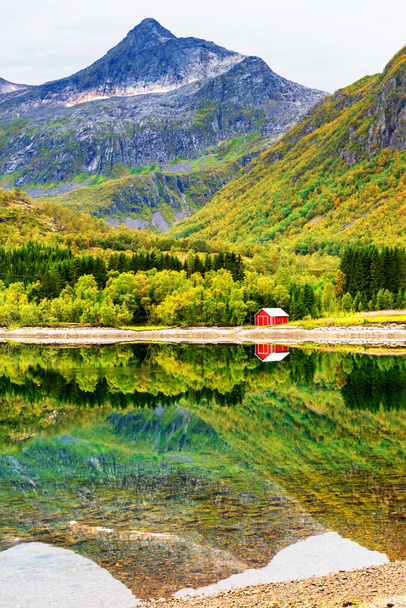 Small red wooden hut on a rocky beach in Lofoten, Norway. Grass in front and reflections in a small pond of water in front of the house. - Photo, Image