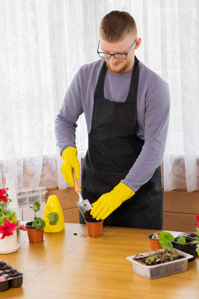 jonge man met bril en schort planten zaailingen in potten in landhuis - Foto, afbeelding