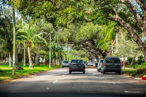 Boulevard in a luxury neighborhood in Venice. Florida, USA - Photo, Image