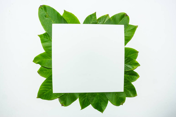 Creative layout made of walnut green leaves. Flat lay. Nature background - Photo, Image