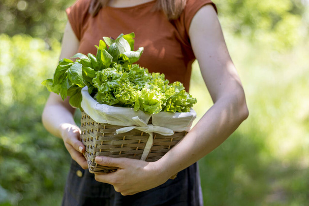Una chica lleva del jardín una canasta de mimbre con verduras. De cerca.
. - Foto, Imagen