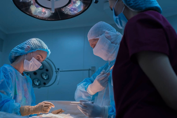 Cirujanos infantiles realizan operaciones urológicas. Un hombre y una mujer con una máscara y un abrigo azul estéril en el quirófano. Un equipo de cirujanos está realizando una operación. Tratamiento de la hernia inguinal, edema testicular, enfermedad testicular, varicocel - Foto, Imagen