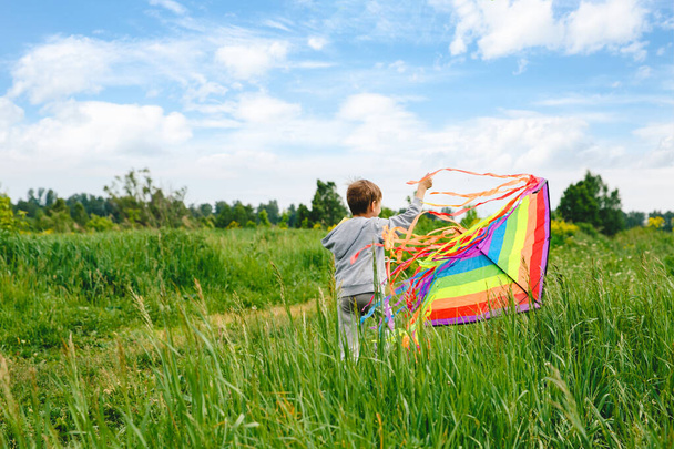Cute white kid playing colorful kite outdoor at summer meadow or park. Color photography of caucasian young boy isolated at sunny blue sky and green field background - Φωτογραφία, εικόνα