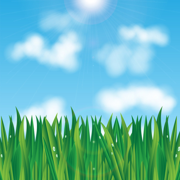 природний фон. еко фон. зелена трава з краплями роси на
 - Вектор, зображення