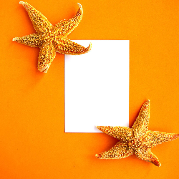 Blanco maqueta en blanco y estrellas de mar sobre fondo naranja, vista superior. Concepto vacaciones de verano
 - Foto, Imagen