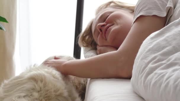 面白いビデオだ。ペットへの愛。大きな白い犬が朝早く寝室の愛人を起こして - 映像、動画