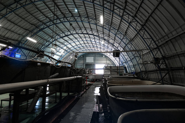 Werkstatt zur Herstellung von Störfischen und Kaviar. Industrielles Thema für die Wirtschaft. Archivbild Hintergrund - Foto, Bild