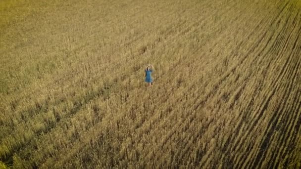 Aerial view of cute young woman standing on wind in wheat field with hands up and enjoying freedom and serenity - Footage, Video