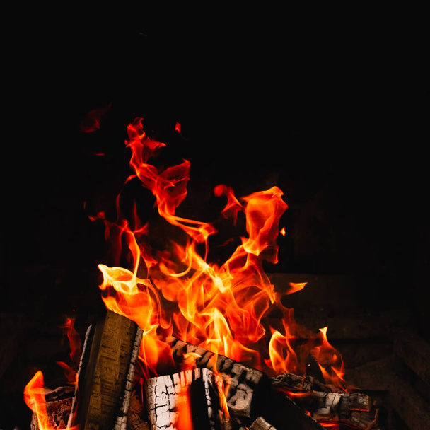 Quemando hoguera. Lenguas de llama sobre un fondo oscuro. Quemando troncos de madera. Foto de fondo
. - Foto, Imagen
