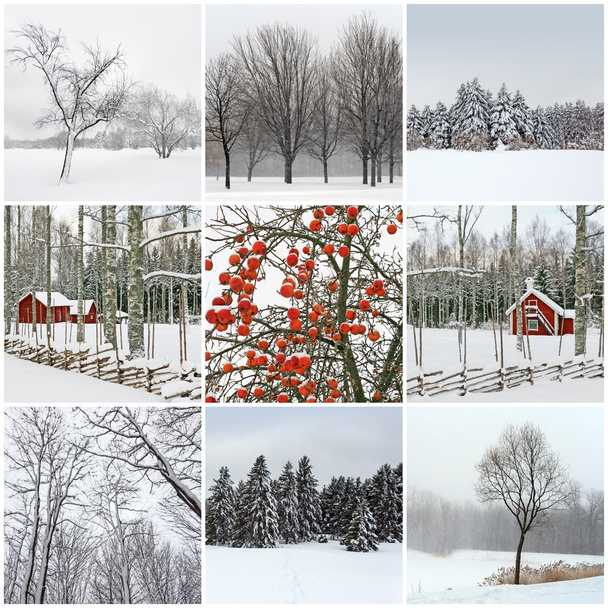 Зимняя красота
 - Фото, изображение