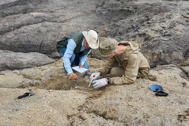 zwei Paläontologen ziehen versteinerte Knochen in der Wüste aus dem Boden - Foto, Bild