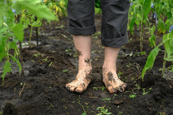 Watering the garden. Dirty male legs close-up. - Photo, Image