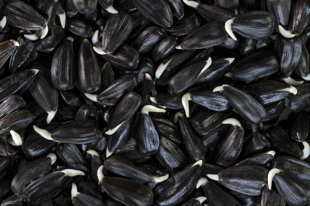 Germinated Sunflower Seeds. Healthy nutrition. High in vitamins and antioxidants.  Background. - Photo, Image