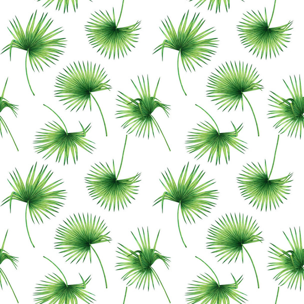 Υδατογραφία καρύδα ζωγραφική, φύλλα φοίνικα, πράσινο αφήσει αδιάλειπτη μοτίβο φόντο.Υδατογραφία χέρι ζωγραφισμένα τροπική απεικόνιση εξωτικά φύλλα εκτυπώσεις για ταπετσαρία, ύφασμα Χαβάη aloha μοτίβο στυλ ζούγκλα. - Φωτογραφία, εικόνα