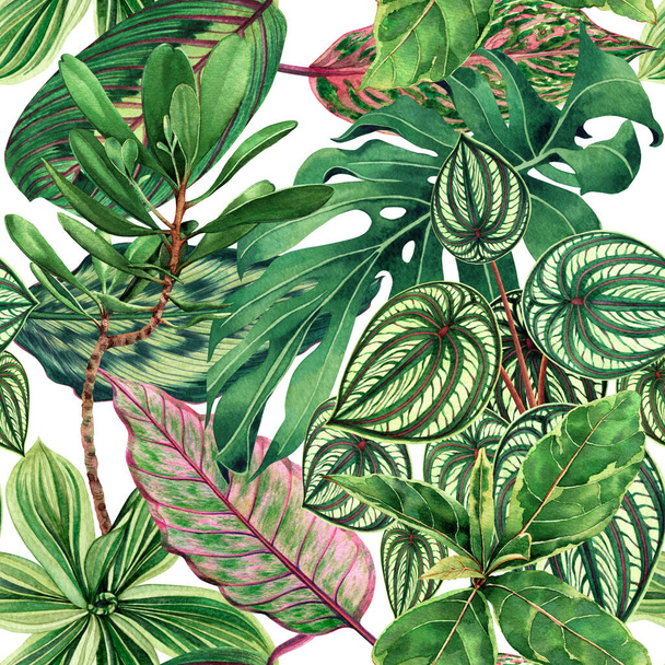 Watercolor painting colorful tropical palm leaf,green leave seamless pattern background.Watercolor hand drawn illustration tropical exotic leaf prints for wallpaper,textile Hawaii aloha jungle style - Photo, Image