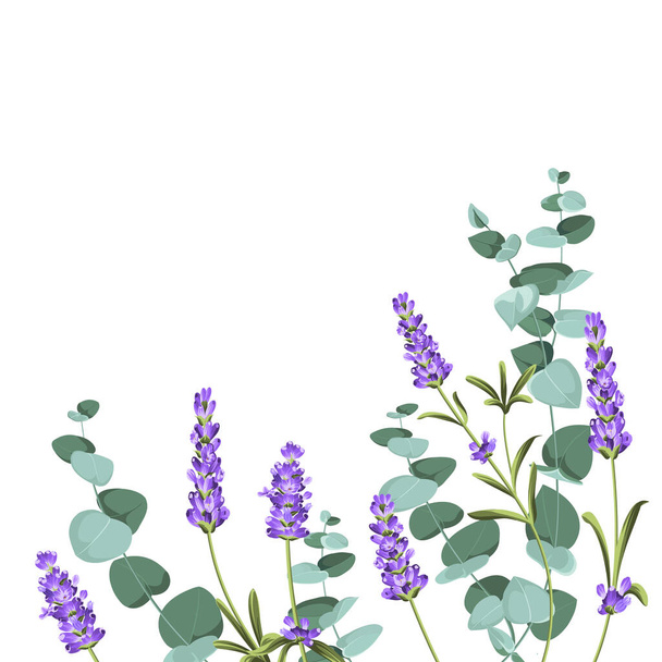 Entwurfsvorlage für Eukaliptus und Lavendelelemente. Schlichtes Design mit gerahmten Blumen. Kräutervektorrahmen - Vektor, Bild