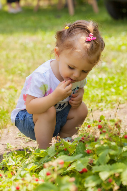 niño recoge fresas silvestres en la naturaleza, nota departamento poco profundo de campo
 - Foto, imagen