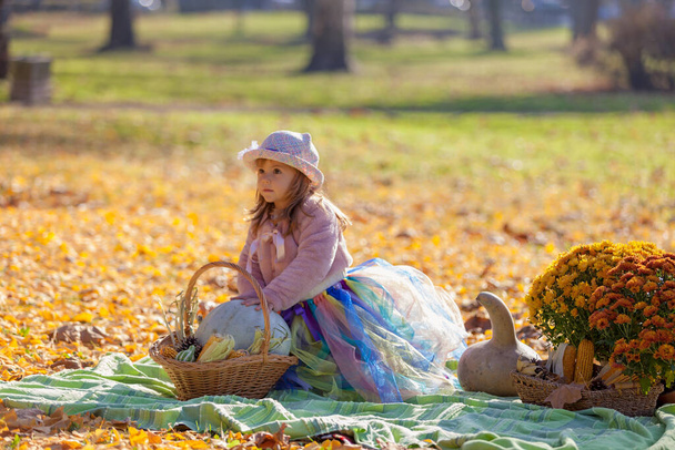 la niña en un vestido púrpura con un sombrero púrpura posando con decoración de otoño
 - Foto, Imagen