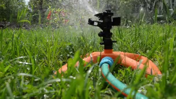 スプリンクラーが芝生の水まき - 映像、動画