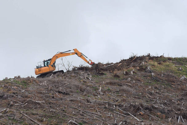 Bright orange digger against plain grey sky, as it works on a ridge deforesting. Only felled trees and stumps remain. British location and forest. - Photo, Image