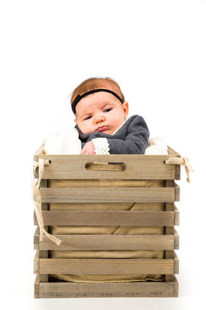 Newborn Baby Girl in Basket White Background - Foto, imagen