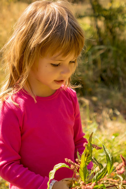 маленькая девочка собирает цветы в траве
 - Фото, изображение