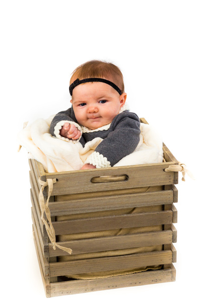 Newborn Baby Girl in Basket White Background - 写真・画像
