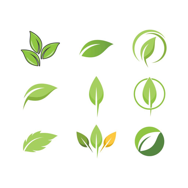 Grünes Blatt Logo Ökologie Natur Element Vektor Symbol - Vektor, Bild