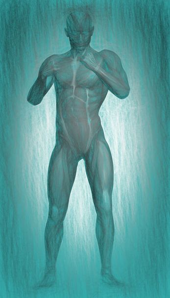 3D απεικόνιση του ανθρώπινου σώματος anatom - Φωτογραφία, εικόνα