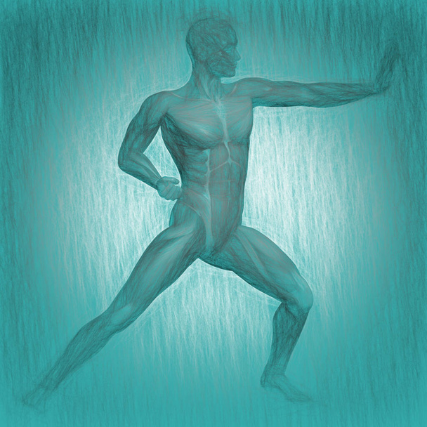 3d illusztráció az emberi test anatómiája - Fotó, kép