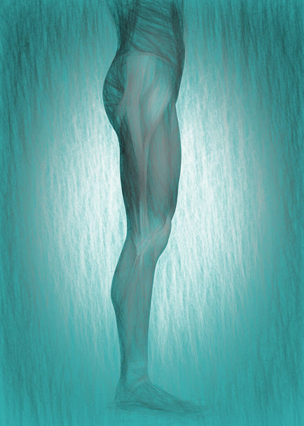 3d kuva ihmisen kehon anatom - Valokuva, kuva