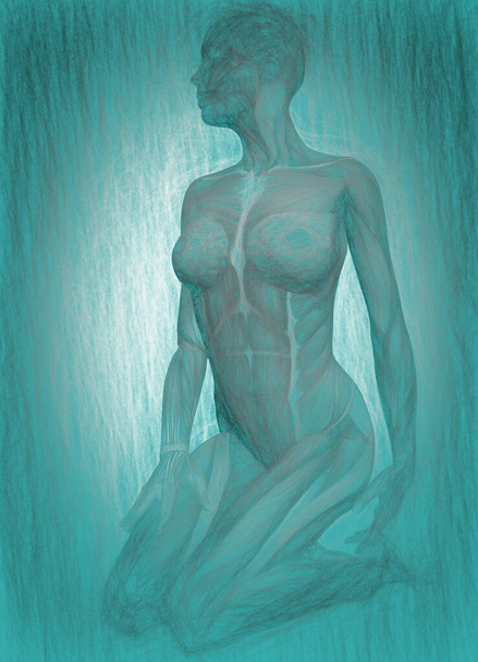 Illustrazione 3D dell'anatomo del corpo umano - Foto, immagini