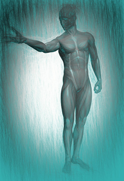  3D απεικόνιση της ανατομίας του ανθρώπινου σώματος  - Φωτογραφία, εικόνα