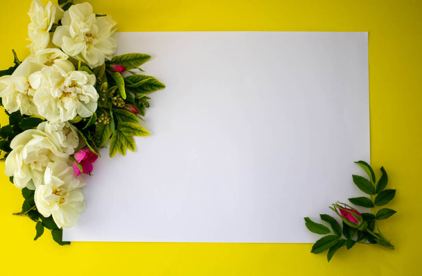 A fehér és rózsaszín virágok és a zöld levelek összetétele.Fehér határ sárga alapon, hely a szövegnek. Lapos fekvő, felülnézet.Üdvözlőlap az ünnep - Fotó, kép