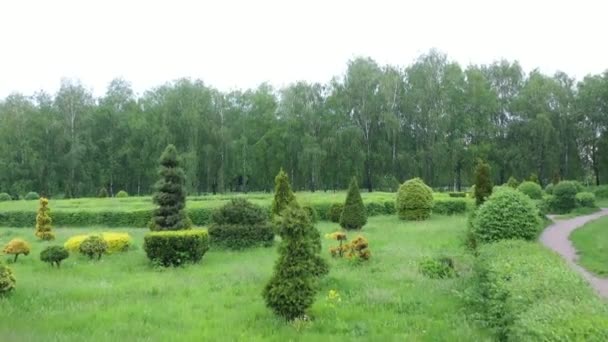 Grischko Botanischer Garten. Luftaufnahme eines Teils des Gartens im französischen Stil. - Filmmaterial, Video