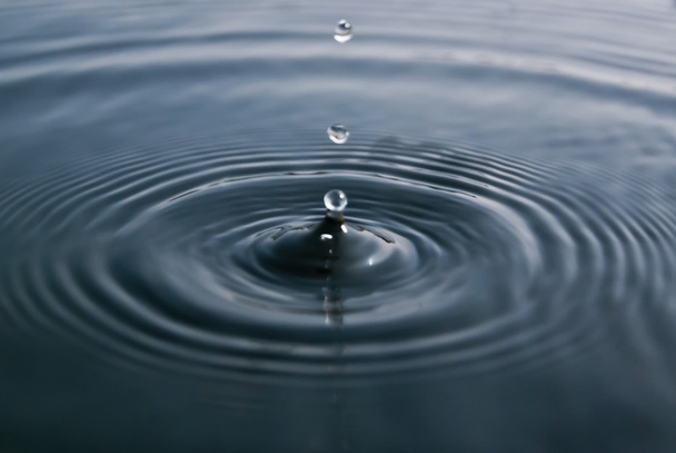 Water droplets - Photo, Image