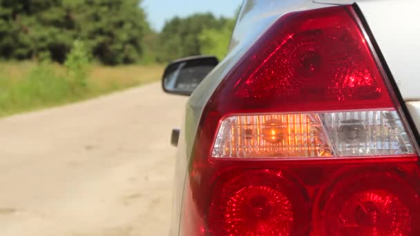In de auto knippert de linker achterrichtingaanwijzer. De linker koplamp knippert oranje in een grijze auto op een bosweg. - Video