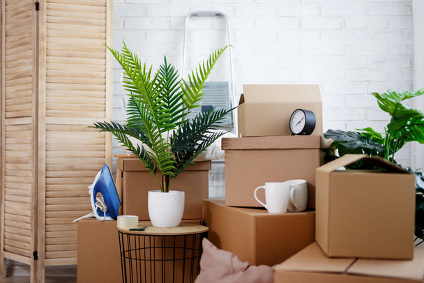 moving day concept - close up of cardboard boxes, houseplants and other domestic things in bright living room - Photo, Image